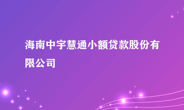 海南中宇慧通小额贷款股份有限公司
