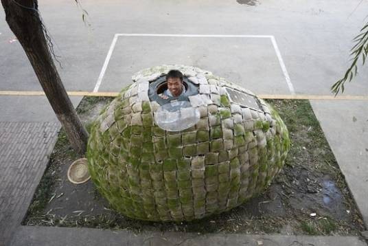 蛋形蜗居