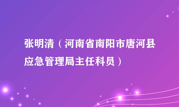 张明清（河南省南阳市唐河县应急管理局主任科员）