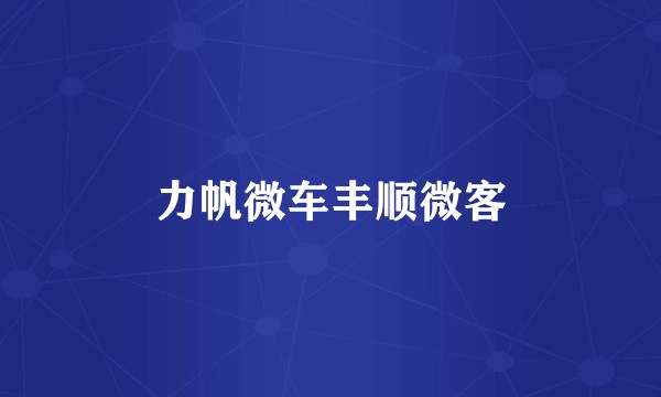 力帆微车丰顺微客