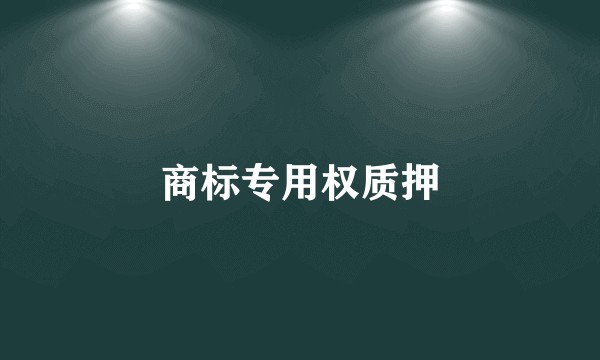 商标专用权质押