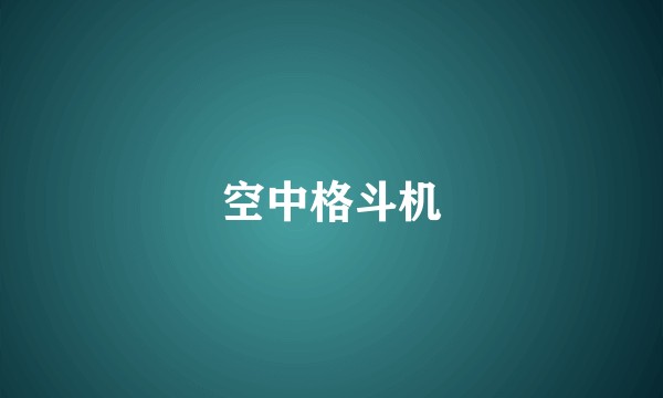 空中格斗机