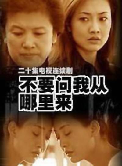 不要问我从哪里来（2005年孔刚执导电视剧）