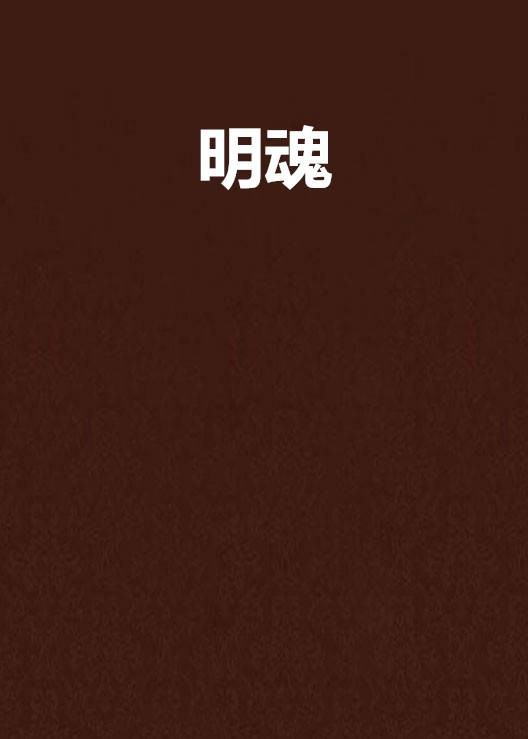 明魂(历史题材网络小说)