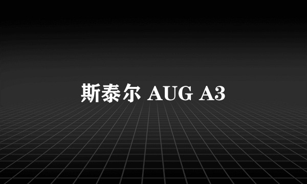 斯泰尔 AUG A3