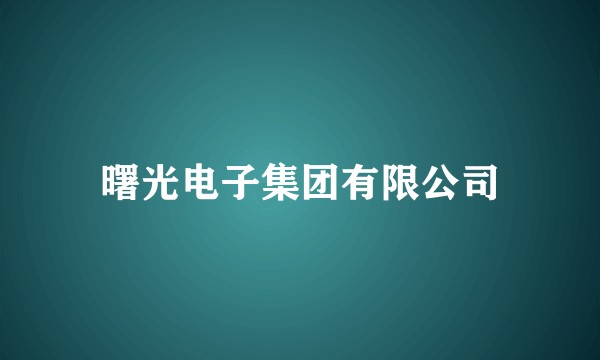 曙光电子集团有限公司