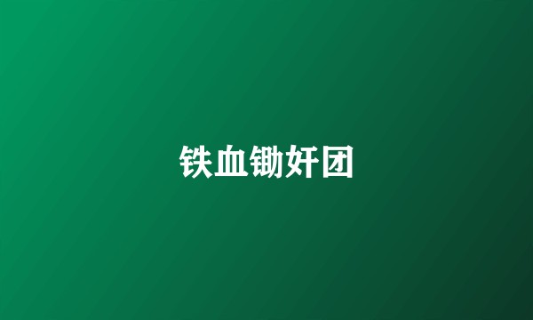 铁血锄奸团
