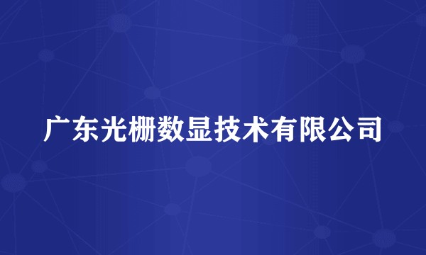 广东光栅数显技术有限公司