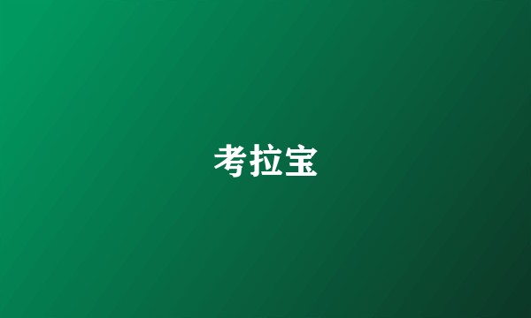 考拉宝