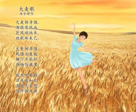 大麦歌