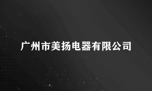 广州市美扬电器有限公司