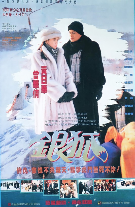 银狐（1993年吴锦源、冼志伟执导的时装商战剧）