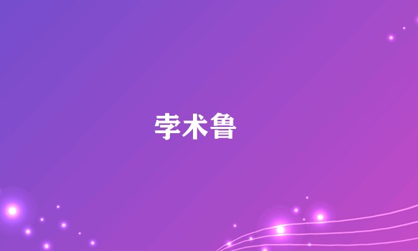 孛术鲁翀