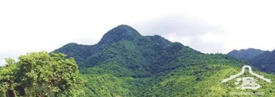 九龙嶂