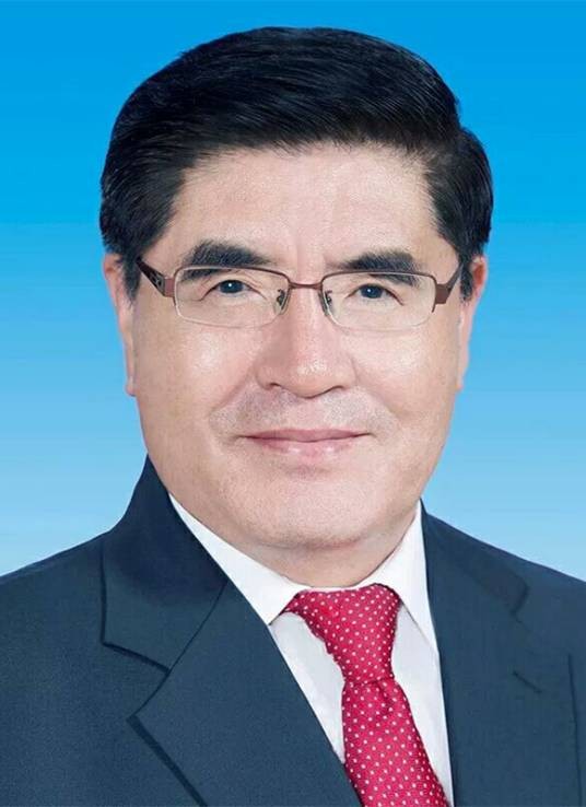 王玉普(第十九届中央委员,应急管理部首任部长、中国工程院院士)