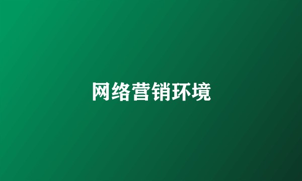 网络营销环境