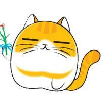 喵爷（山东大学学生自创漫画主人公）