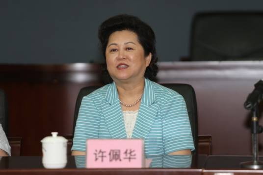许佩华