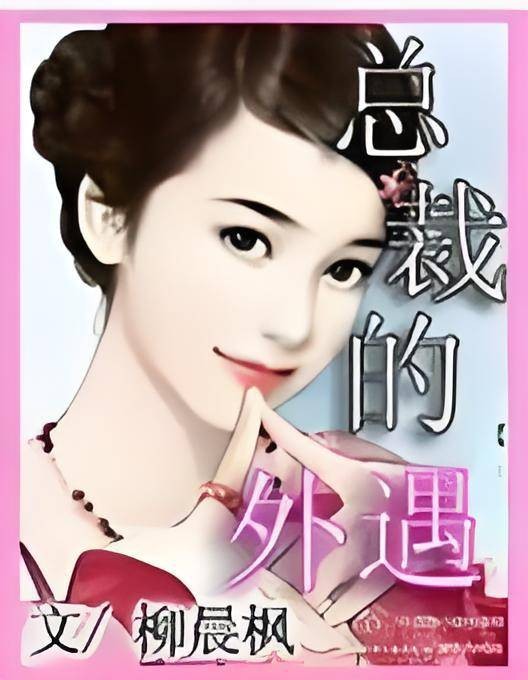 总裁的外遇（柳晨枫创作的言情小说）