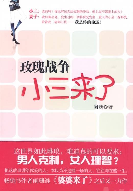 小三来了（2009年凤凰出版传媒集团出版的图书）