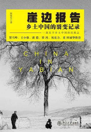 崖边报告