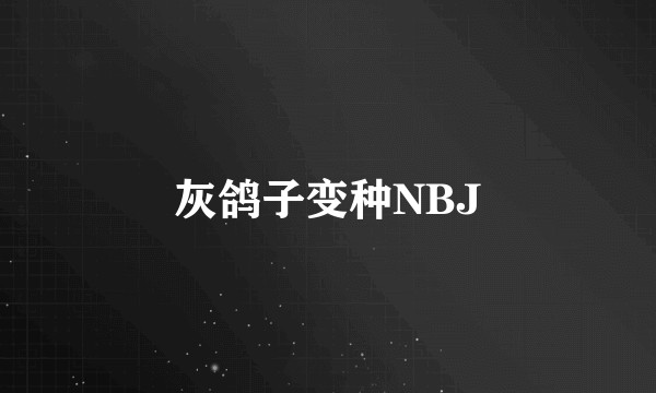 灰鸽子变种NBJ
