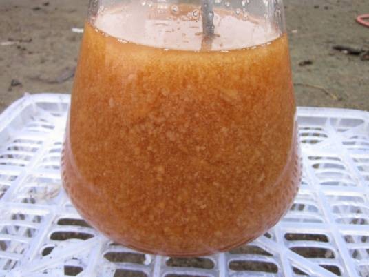 液体菌种