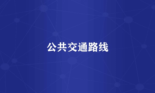 公共交通路线