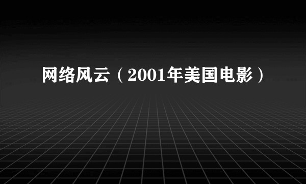 网络风云（2001年美国电影）