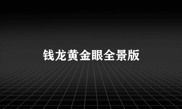 钱龙黄金眼全景版