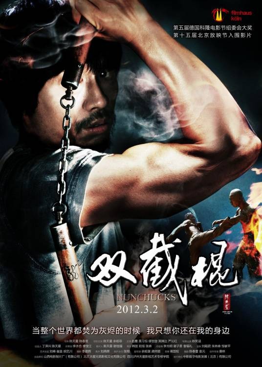 双截棍（2012年陈天星、陈春雷执导的动作电影）