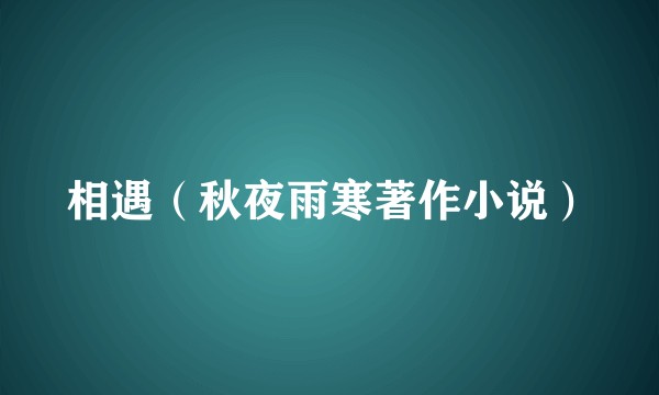 相遇（秋夜雨寒著作小说）