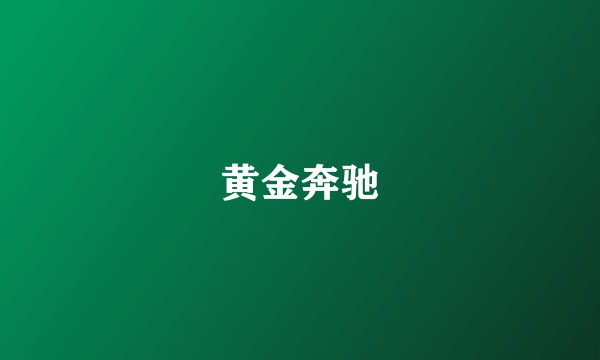 黄金奔驰