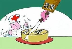 以药补医