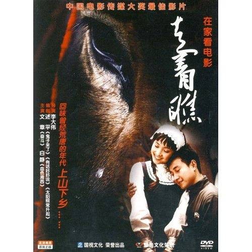 走着瞧(2009年李大为执导电影)