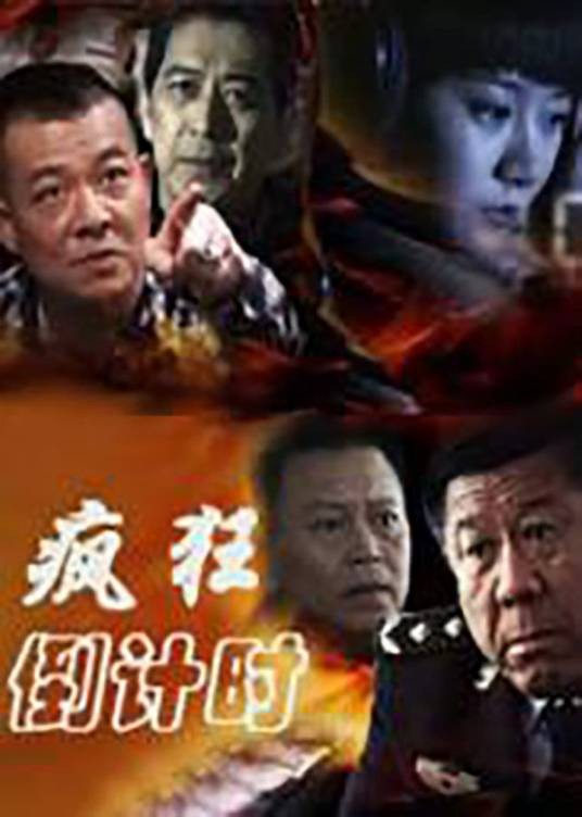 疯狂倒计时（2012年黎涛执导的犯罪剧）