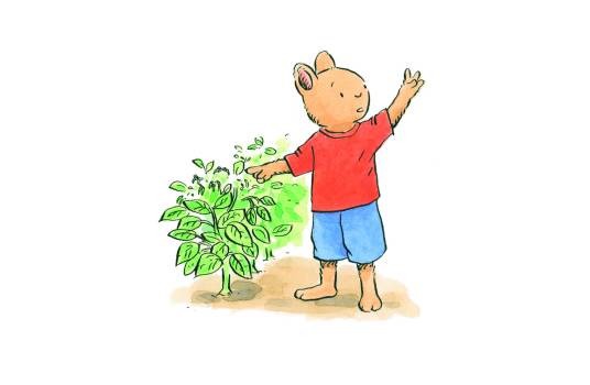 小兔汤姆系列