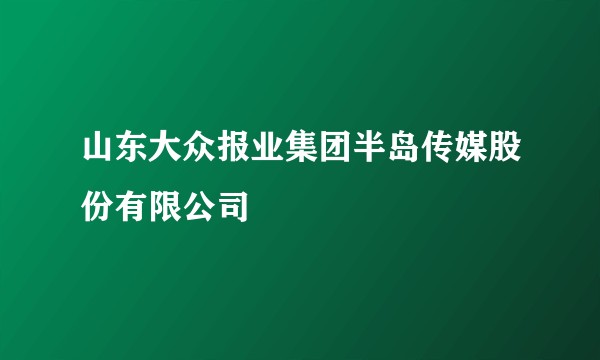 山东大众报业集团半岛传媒股份有限公司