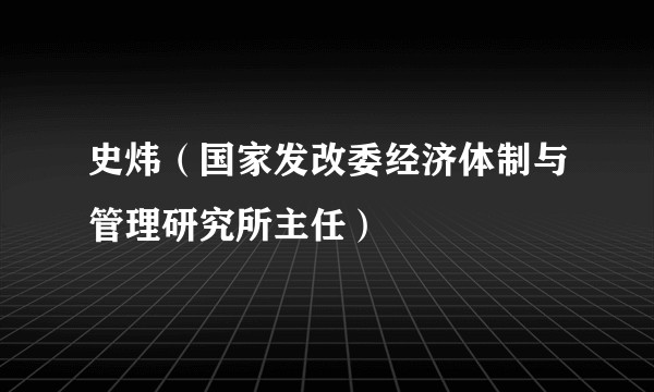 史炜(国家发改委经济体制与管理研究所主任)