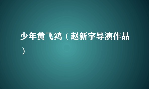 少年黄飞鸿（赵新宇导演作品）