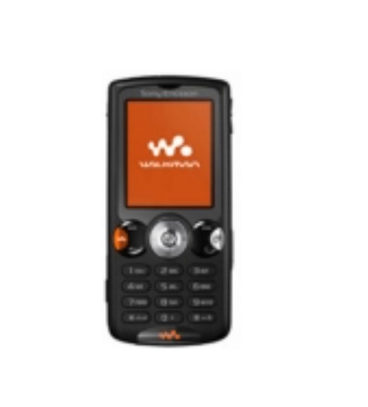 W810
