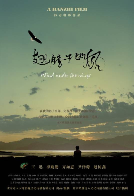 翅膀下的风（2009年韩志导演大陆电影）