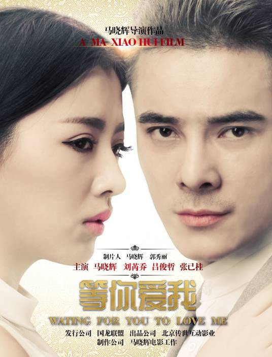 等你爱我(2016年马晓辉执导的剧情电影)