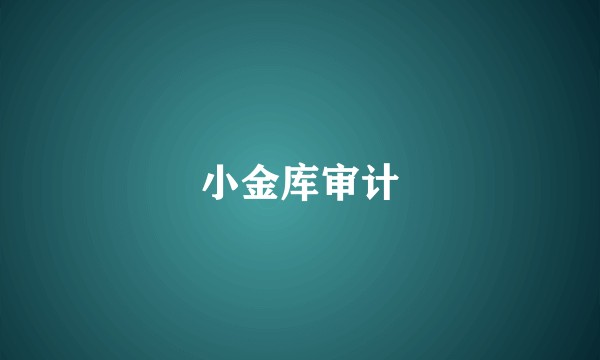 小金库审计