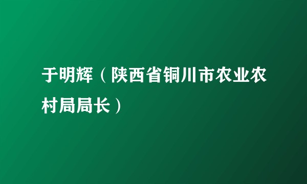 于明辉(陕西省铜川市农业农村局局长)