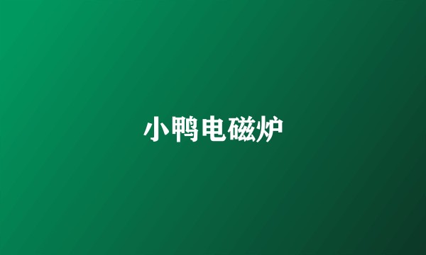 小鸭电磁炉