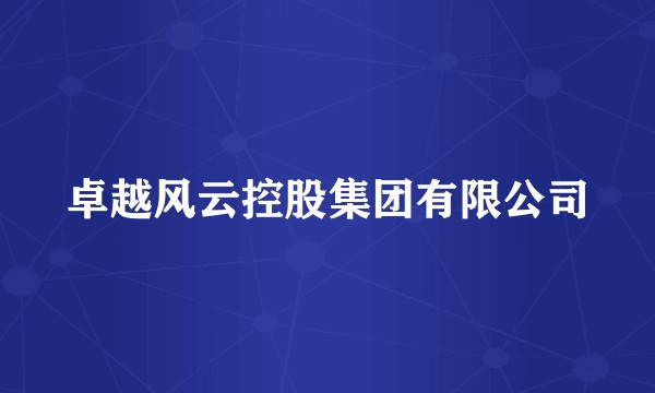 卓越风云控股集团有限公司