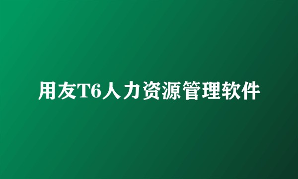 用友T6人力资源管理软件