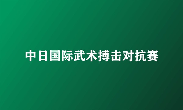 中日国际武术搏击对抗赛