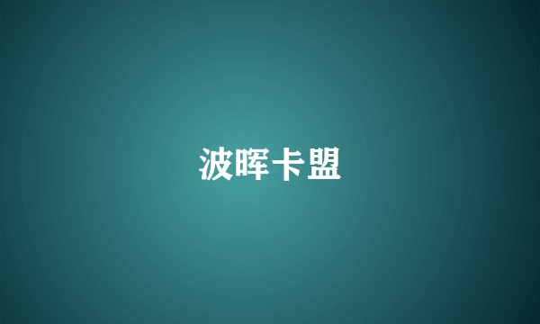 波晖卡盟